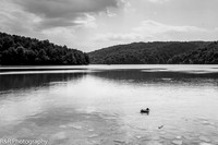 ZENFOLIO PORTFOLIO_-5.jpg