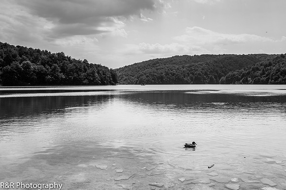 ZENFOLIO PORTFOLIO_-5.jpg