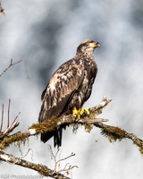 ZENFOLIO PORTFOLIO_-50.jpg