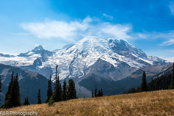 Mt Rainier, WA