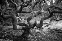 ZENFOLIO PORTFOLIO_-38.jpg
