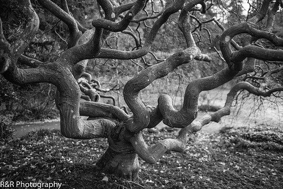 ZENFOLIO PORTFOLIO_-38.jpg
