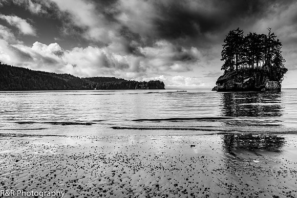 ZENFOLIO PORTFOLIO_-49.jpg