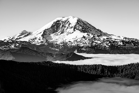 Mt Rainier, WA