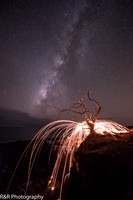 ZENFOLIO PORTFOLIO_-37.jpg