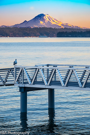 ZENFOLIO PORTFOLIO_-68.jpg