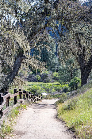 Pinnacles National Park